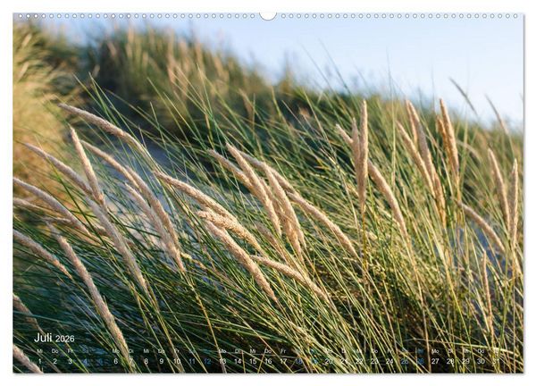 Produktbild: Flandern - Stadt und Strand (Wandkalender 2026 DIN A2 quer), CALVENDO Monatskalender