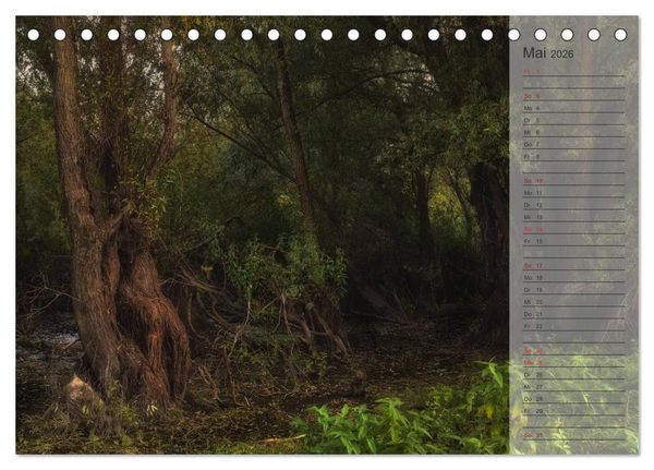 Produktbild: Unser Wald - Magische Sichten in norddeutsche W&auml;lder / Geburtstagskalender (Tischkalender 2026 DIN A5 quer), CALVENDO Monatskalender