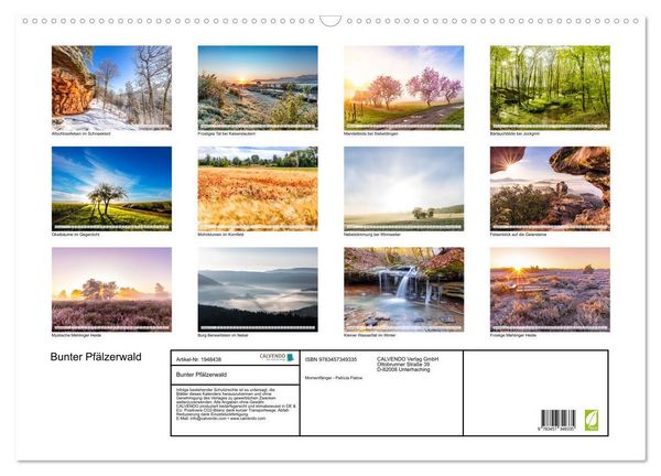 Produktbild: Bunter Pf&auml;lzerwald (Wandkalender 2026 DIN A2 quer), CALVENDO Monatskalender