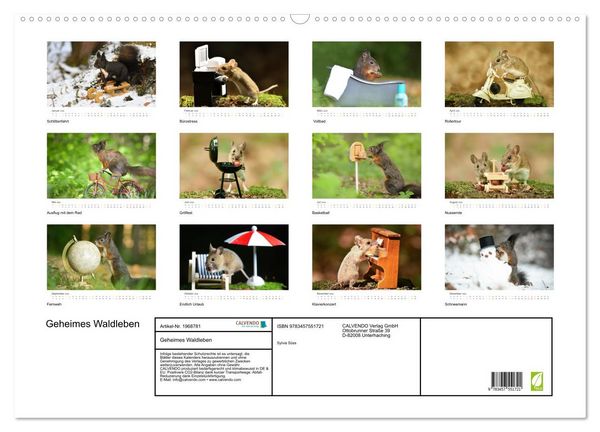Produktbild: Geheimes Waldleben (Wandkalender 2026 DIN A2 quer), CALVENDO Monatskalender