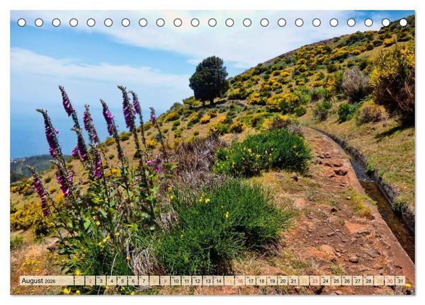 Produktbild: Madeira - blaues Wasser, gr&uuml;ne Berge, bunte Blumen (Tischkalender 2026 DIN A5 quer), CALVENDO Monatskalender