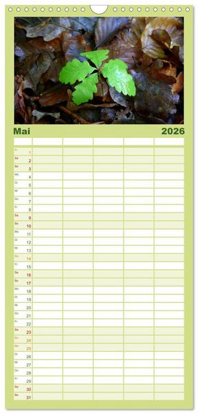 Produktbild: Familienplaner 2026 - Wald und Baum 2026 mit 5 Spalten (Wandkalender, 21 x 45 cm) CALVENDO