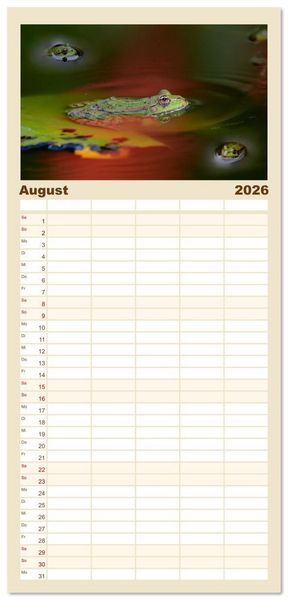 Produktbild: Familienplaner 2026 - Frosch Karl, Hans und Max im Einklang der Natur mit 5 Spalten (Wandkalender, 21 x 45 cm) CALVENDO