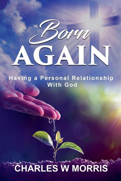 Produktbild: Born Again