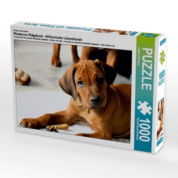 Rhodesian Ridgeback schau mir in die Augen, 1000 Teile