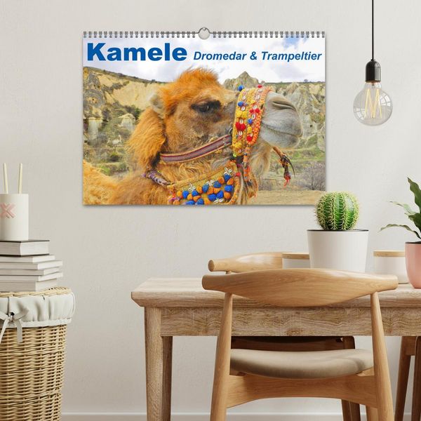 Produktbild: Kamele &bull; Dromedar & Trampeltier (Wandkalender 2026 DIN A3 quer), CALVENDO Monatskalender