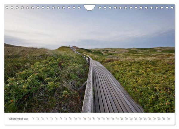 Produktbild: Stege & Wege auf Sylt (Wandkalender 2026 DIN A4 quer), CALVENDO Monatskalender