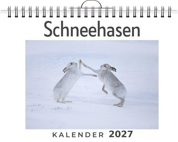 Produktbild: Schneehasen