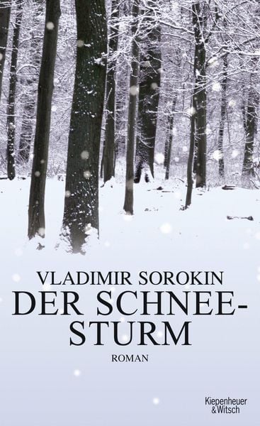 Produktbild: Der Schneesturm