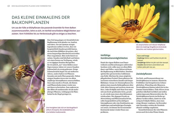 Produktbild: Biene sucht Balkon
