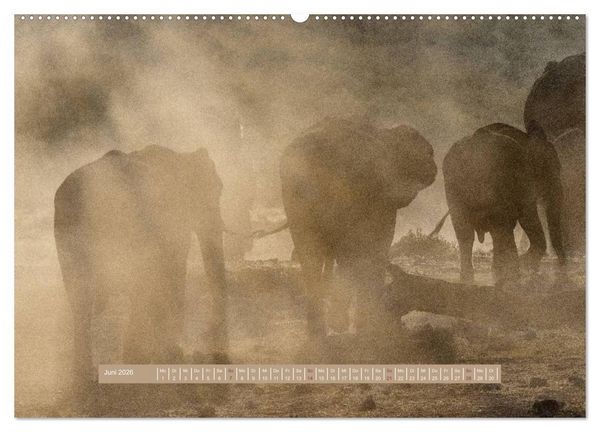 Produktbild: Afrikas Tierwelt - Wilde Elefanten (Wandkalender 2026 DIN A2 quer), CALVENDO Monatskalender