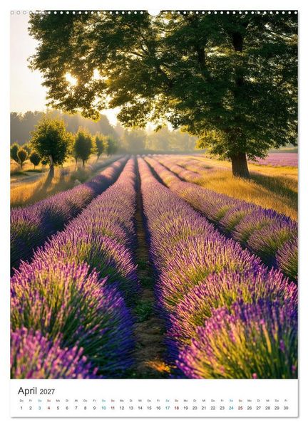 Produktbild: Der Sommer bl&uuml;ht violett (hochwertiger Premium Wandkalender 2027 DIN A2 hoch), Kunstdruck in Hochglanz