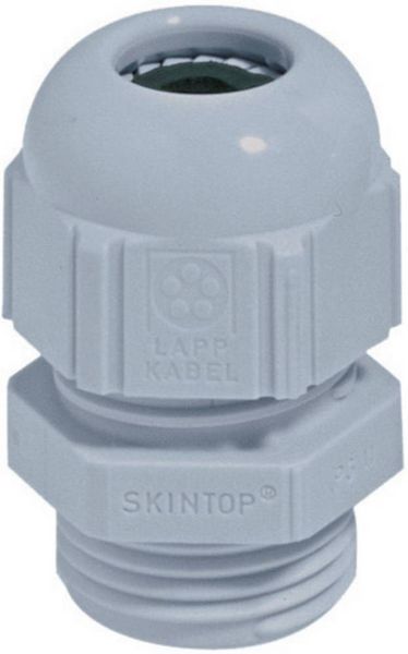 Produktbild: LAPP 53015060 Kabelverschraubung PG29 Polyamid Silber-Grau (RAL 7001) 1St.