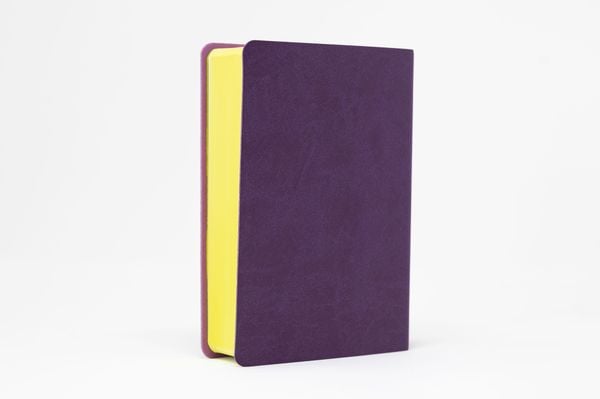 Produktbild: Die Bibel. Senfkorn, Handschmeichler lila