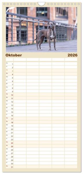 Produktbild: Familienplaner 2026 - Hunde in der City - Unterwegs in Hamburg mit 5 Spalten (Wandkalender, 21 x 45 cm) CALVENDO