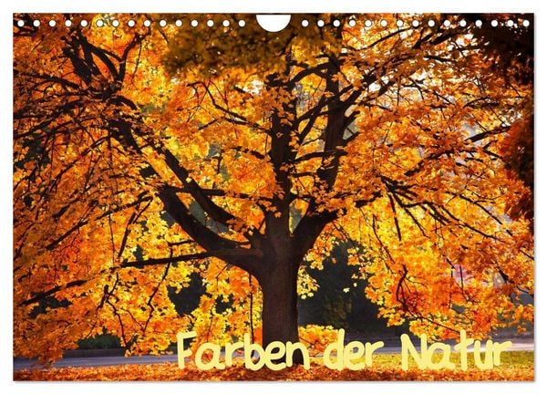 Farben der Natur (Wandkalender 2026 DIN A4 quer), CALVENDO Monatskalender