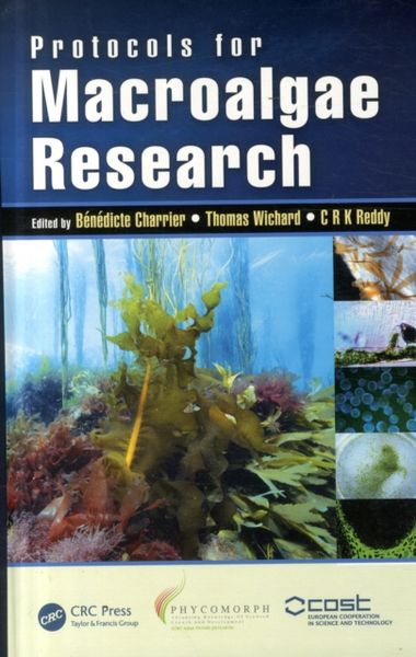 Produktbild: Protocols for Macroalgae Research