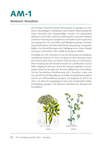 Produktbild: Klassische Rezepturen der asiatischen Phytotherapie