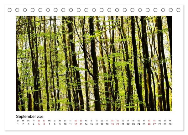 Produktbild: Zauberhafte Landschaften im Odenwald (Tischkalender 2026 DIN A5 quer), CALVENDO Monatskalender