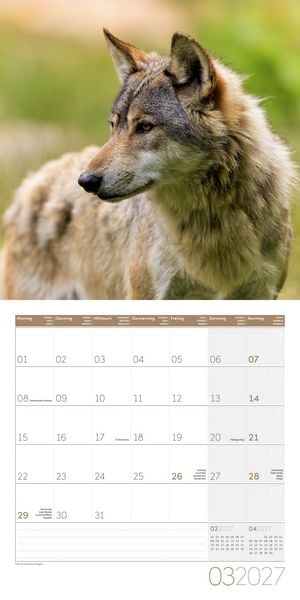 Produktbild: W&ouml;lfe Kalender 2027 - 30x30 - Art12