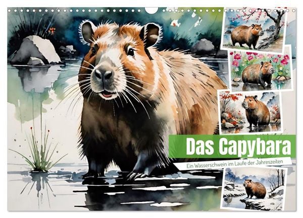 Produktbild: Das Capybara (Wandkalender 2026 DIN A3 quer), CALVENDO Monatskalender