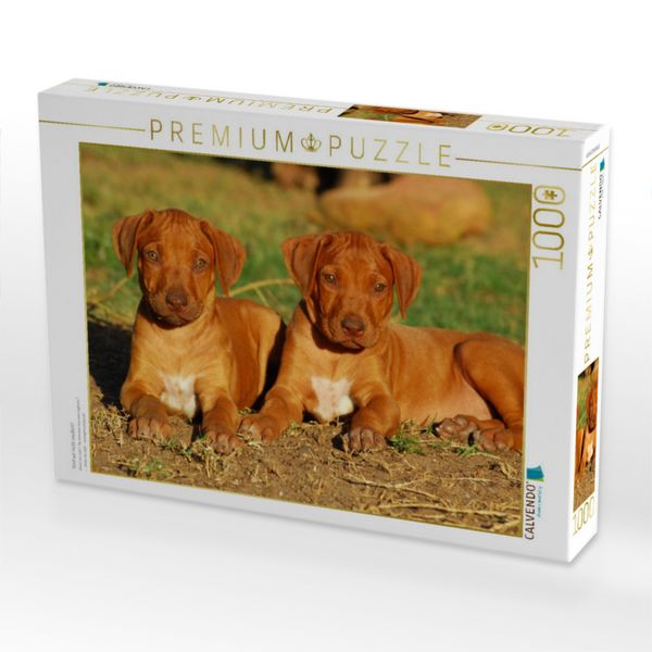 Produktbild: CALVENDO Puzzle Sind wir nicht niedlich? | 1000 Teile Lege-Gr&ouml;&szlig;e 64x48cm Foto-Puzzle f&uuml;r gl&uuml;ckliche Stunden