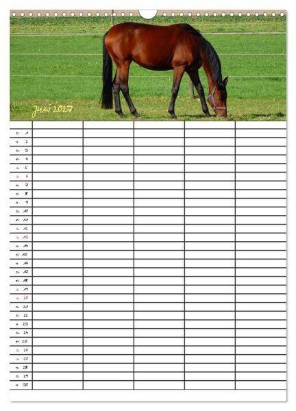 Produktbild: Bauernhoftiere Familienplaner (Wandkalender 2027 DIN A3 hoch), CALVENDO Monatskalender