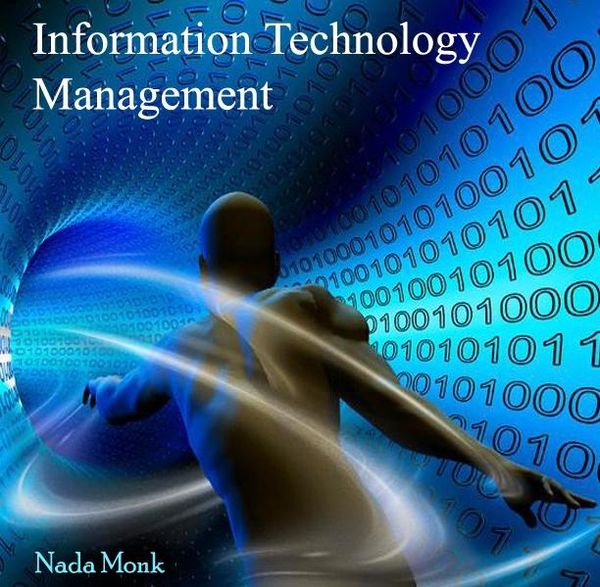 Produktbild: Information Technology Management
