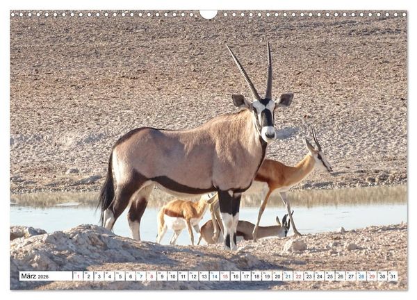Produktbild: Namibia, Faszination W&uuml;ste und Tierwelt (Wandkalender 2026 DIN A3 quer), CALVENDO Monatskalender