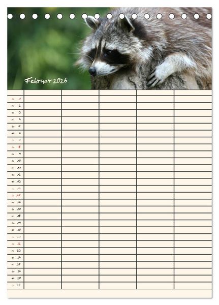 Produktbild: Waschb&auml;ren Familienplaner (Tischkalender 2026 DIN A5 hoch), CALVENDO Monatskalender