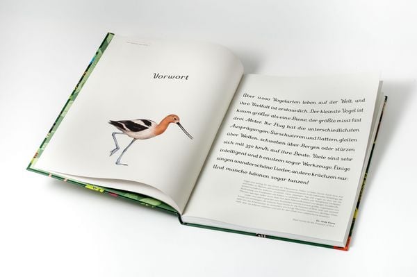 Produktbild: Das Museum der V&ouml;gel