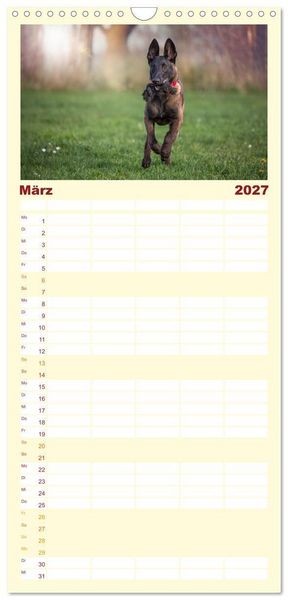 Produktbild: Familienplaner 2027 - Traumhund Malinois mit 5 Spalten (Wandkalender, 21 x 45 cm) CALVENDO
