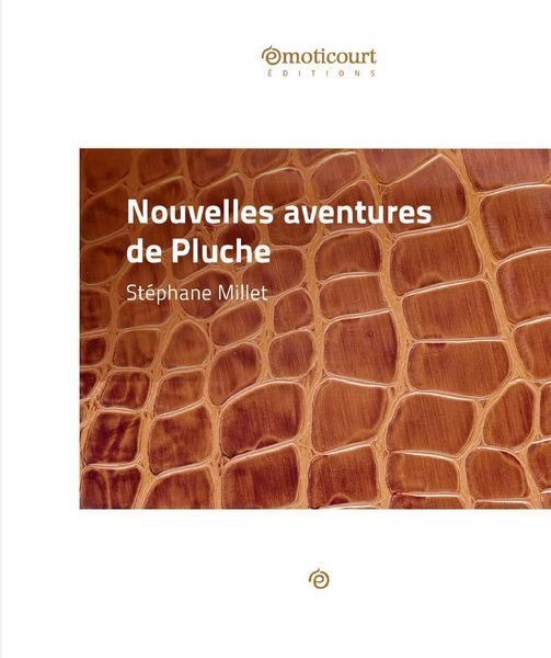 Produktbild: Nouvelles aventures de Pluche
