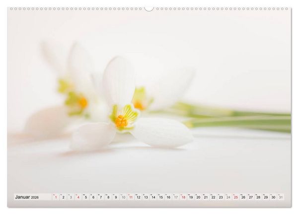 Produktbild: Farbenfroher Bl&uuml;tentraum (hochwertiger Premium Wandkalender 2026 DIN A2 quer), Kunstdruck in Hochglanz