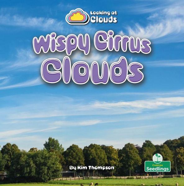 Produktbild: Wispy Cirrus Clouds