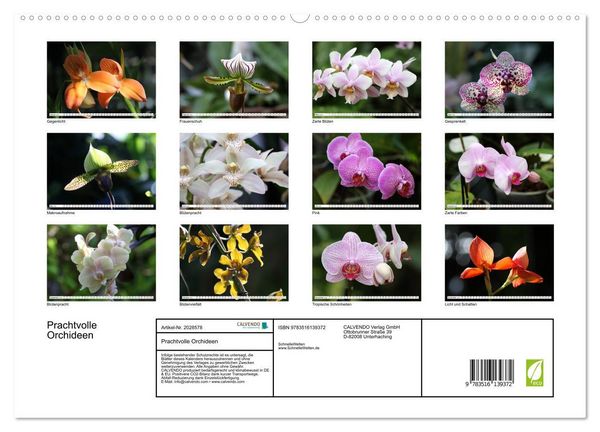 Produktbild: Prachtvolle Orchideen (hochwertiger Premium Wandkalender 2026 DIN A2 quer), Kunstdruck in Hochglanz