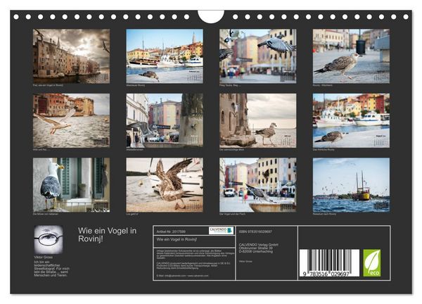 Produktbild: Wie ein Vogel in Rovinj! (Wandkalender 2026 DIN A4 quer), CALVENDO Monatskalender