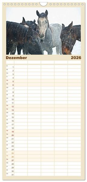 Produktbild: Familienplaner 2026 - Pferde - kraftvolle Eleganz mit 5 Spalten (Wandkalender, 21 x 45 cm) CALVENDO