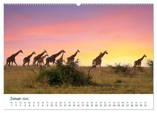 Produktbild: Fernweh Uganda - Natursch&ouml;nheit Ostafrikas (Wandkalender 2026 DIN A2 quer), CALVENDO Monatskalender