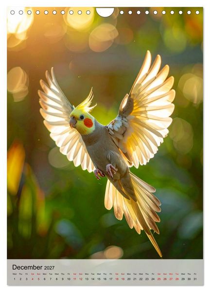 Produktbild: Cockatiel Dreams (Wall Calendar 2027 DIN A4 portrait), CALVENDO 12 Month Wall Calendar