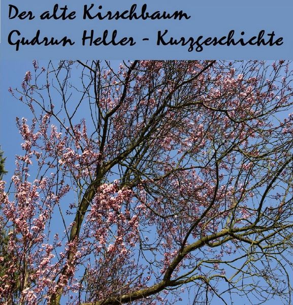 Produktbild: Der alte Kirschbaum