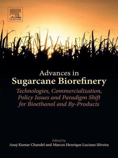Produktbild: Advances in Sugarcane Biorefinery