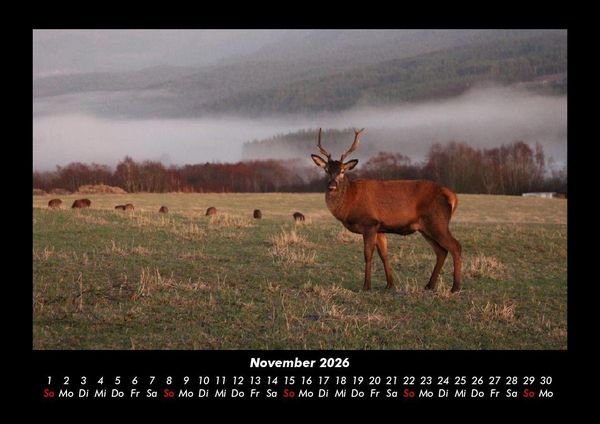 Produktbild: Naturlandschaften 2026 Fotokalender DIN A3