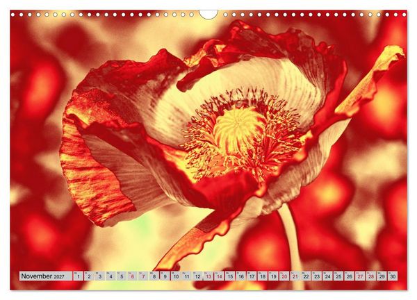 Produktbild: Blumen Pop-Art (Wandkalender 2027 DIN A3 quer), CALVENDO Monatskalender