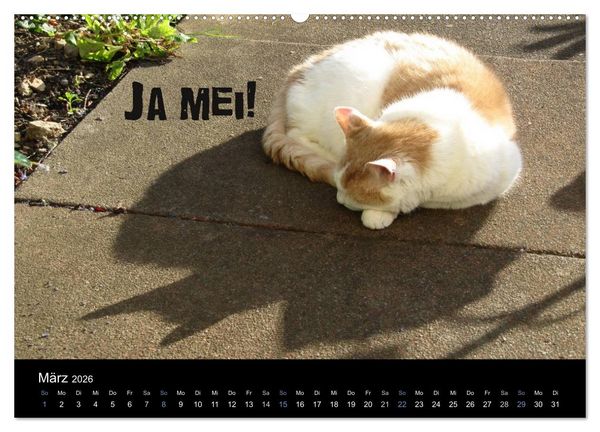 Produktbild: Baierische Lebensweisheiten (hochwertiger Premium Wandkalender 2026 DIN A2 quer), Kunstdruck in Hochglanz