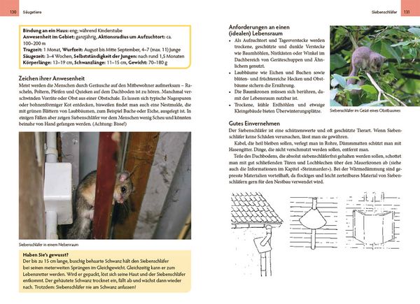 Produktbild: Wildtiere am Haus