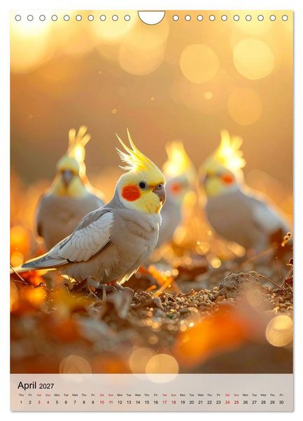 Produktbild: Cockatiel Dreams (Wall Calendar 2027 DIN A4 portrait), CALVENDO 12 Month Wall Calendar