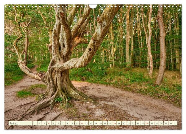 Produktbild: R&uuml;gen - Jasmund Nationalpark (Wandkalender 2027 DIN A3 quer), CALVENDO Monatskalender