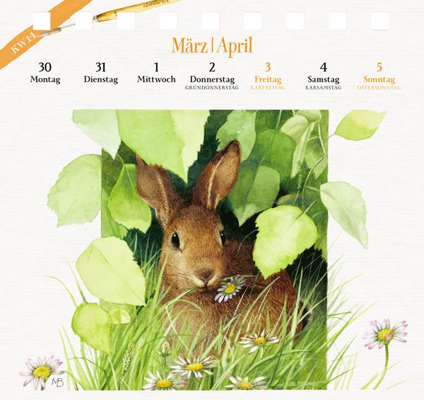 Produktbild: Kalender mit 53 Postkarten