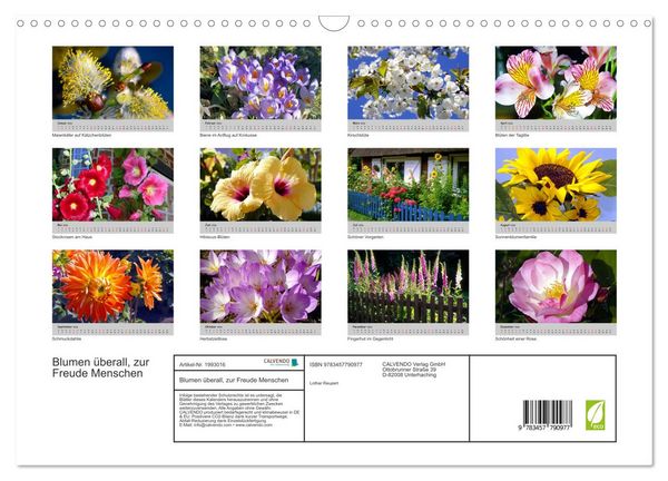 Produktbild: Blumen &uuml;berall, zur Freude Menschen (Wandkalender 2026 DIN A3 quer), CALVENDO Monatskalender